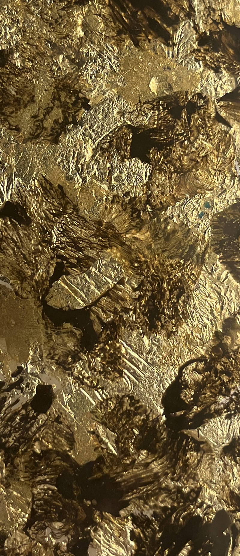 Tortoise Gold Leaf finish sample