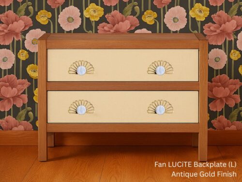 fan lucite backplate