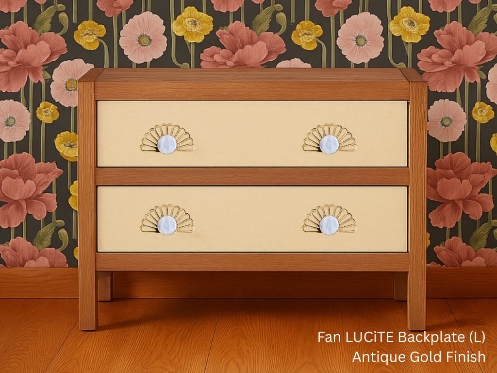 fan lucite backplate